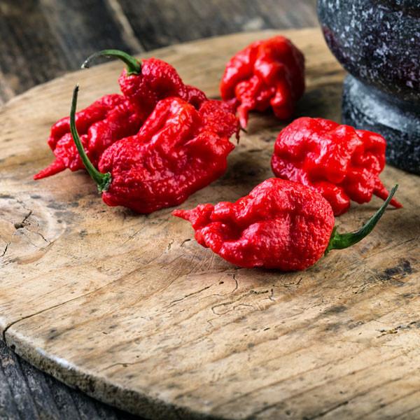 Pepper - Carolina Reaper | Jeff's Nursery - Gilbert, AZ