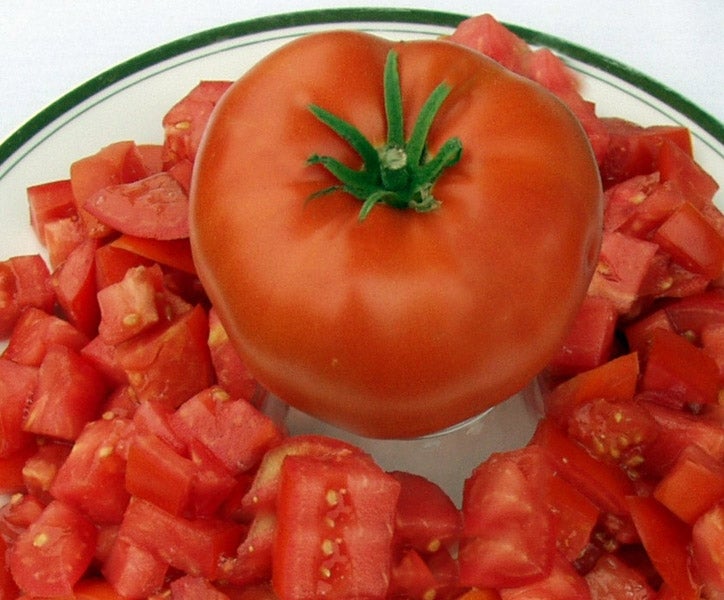 Tomato - Super Sioux | Jeff's Nursery - Gilbert, AZ